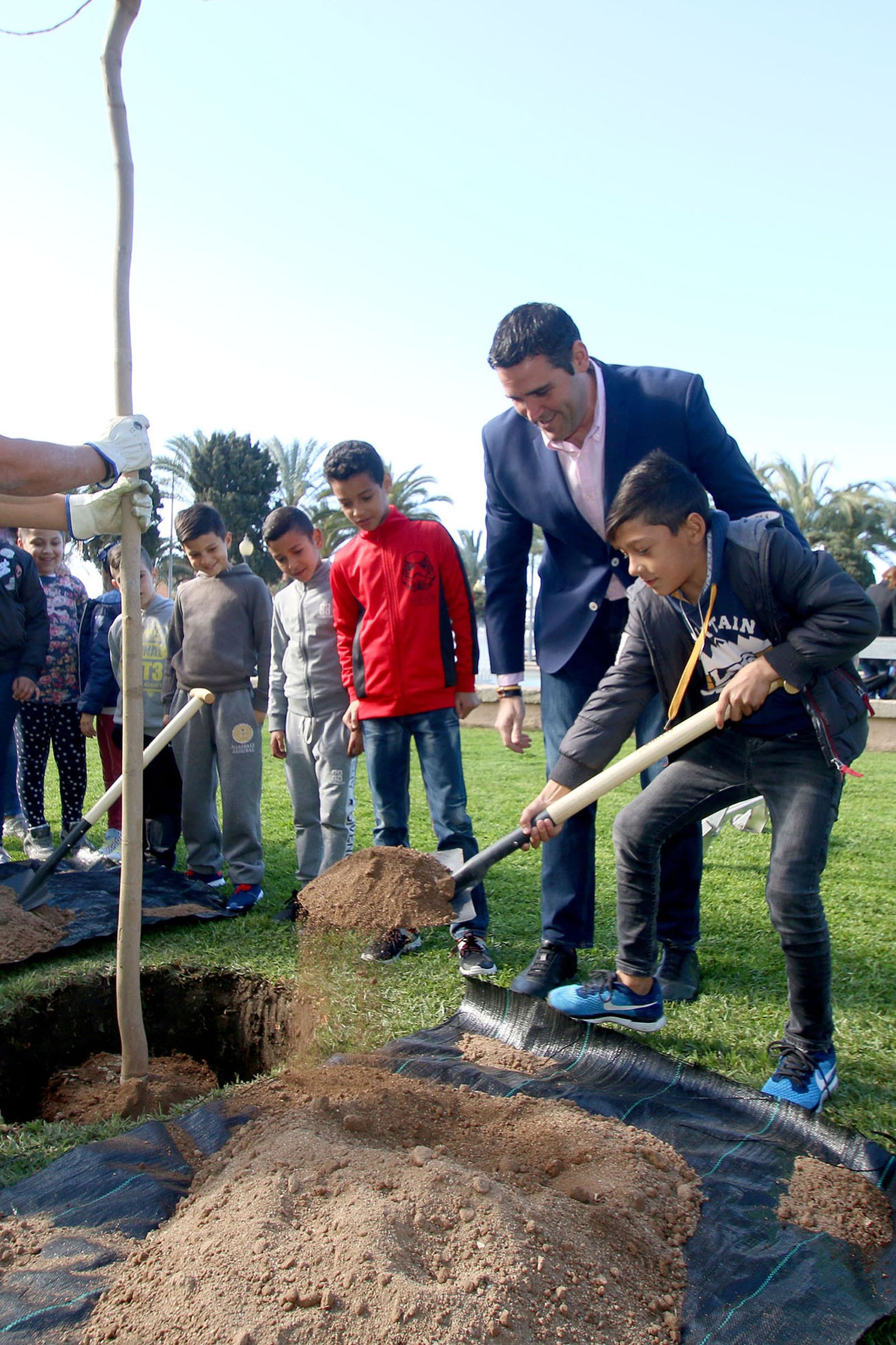 Imágenes del Día Mundial del Árbol