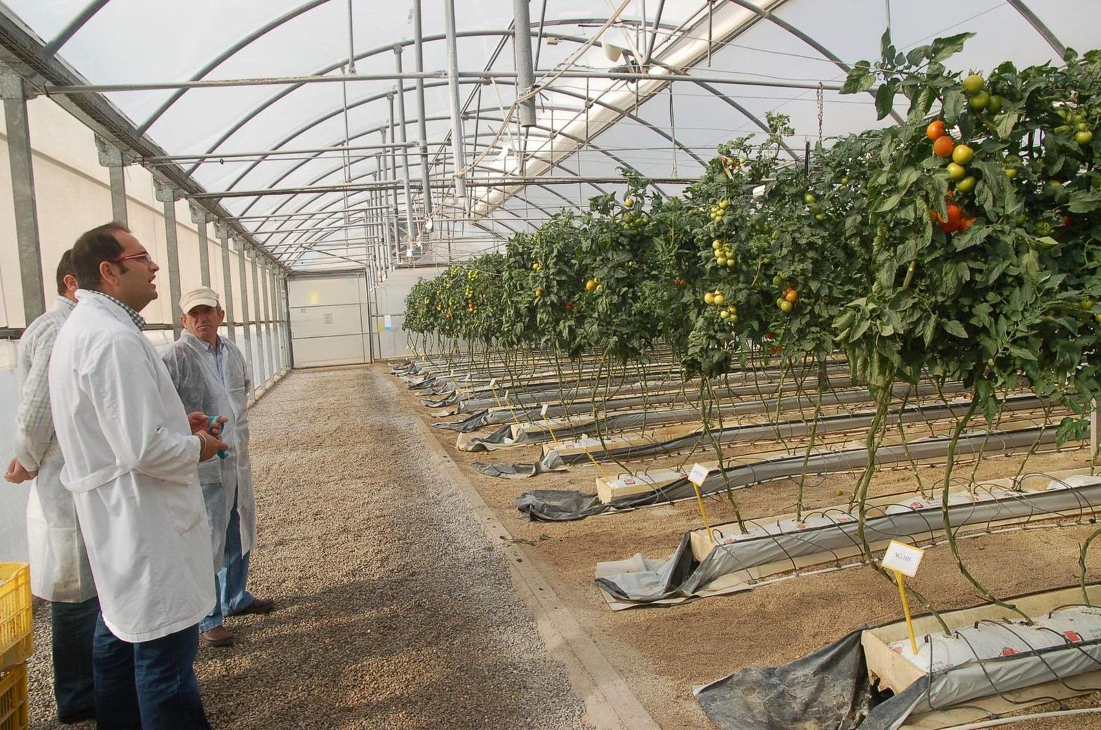 Imagen de archivo de la Estación Experimental de Cajamar