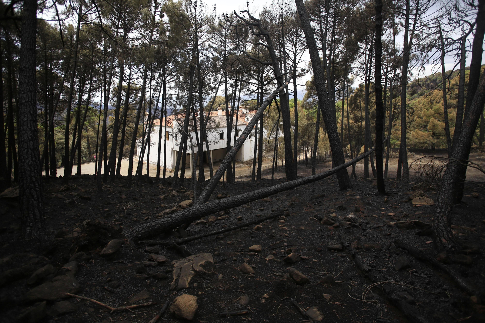Edificio del antiguo hotel que salvó de las llamas en el último momento