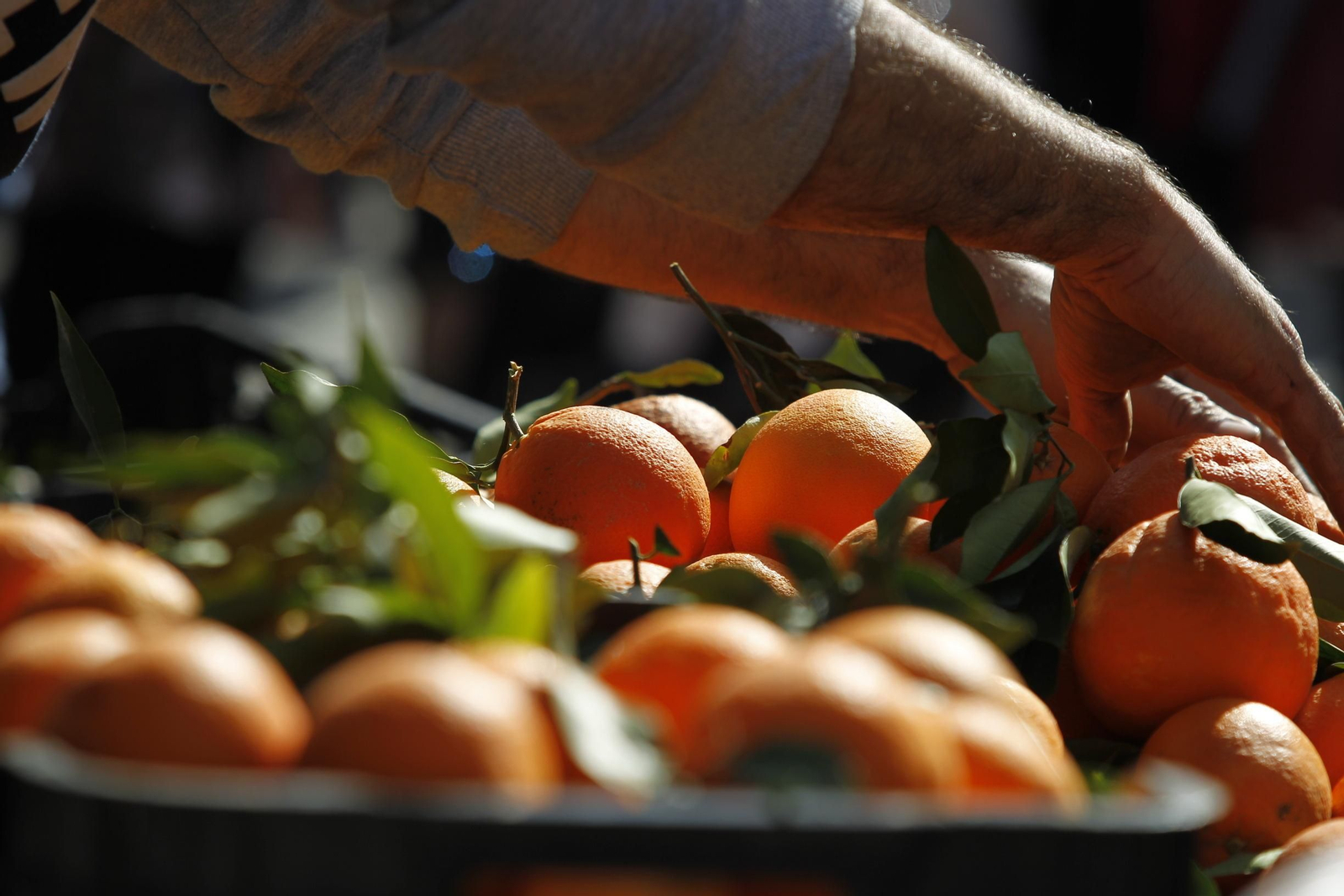 Gádor, de la Naranja a la Pasión Viviente