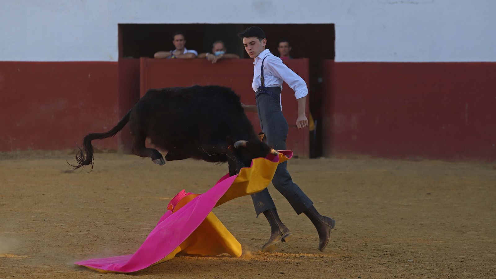 Una vaquilla embiste un capote durante un tentadero en la Finca Roma en Los Barrios