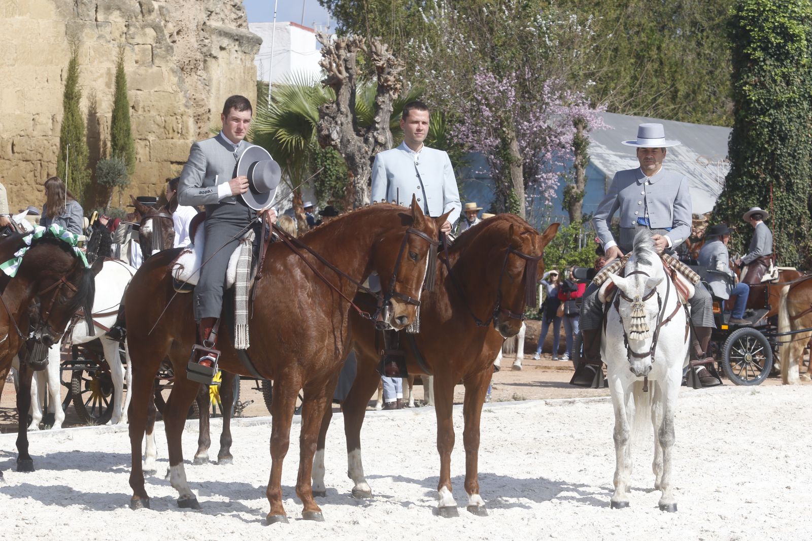 La marcha hípica en Córdoba por el 28-F, en fotografias.