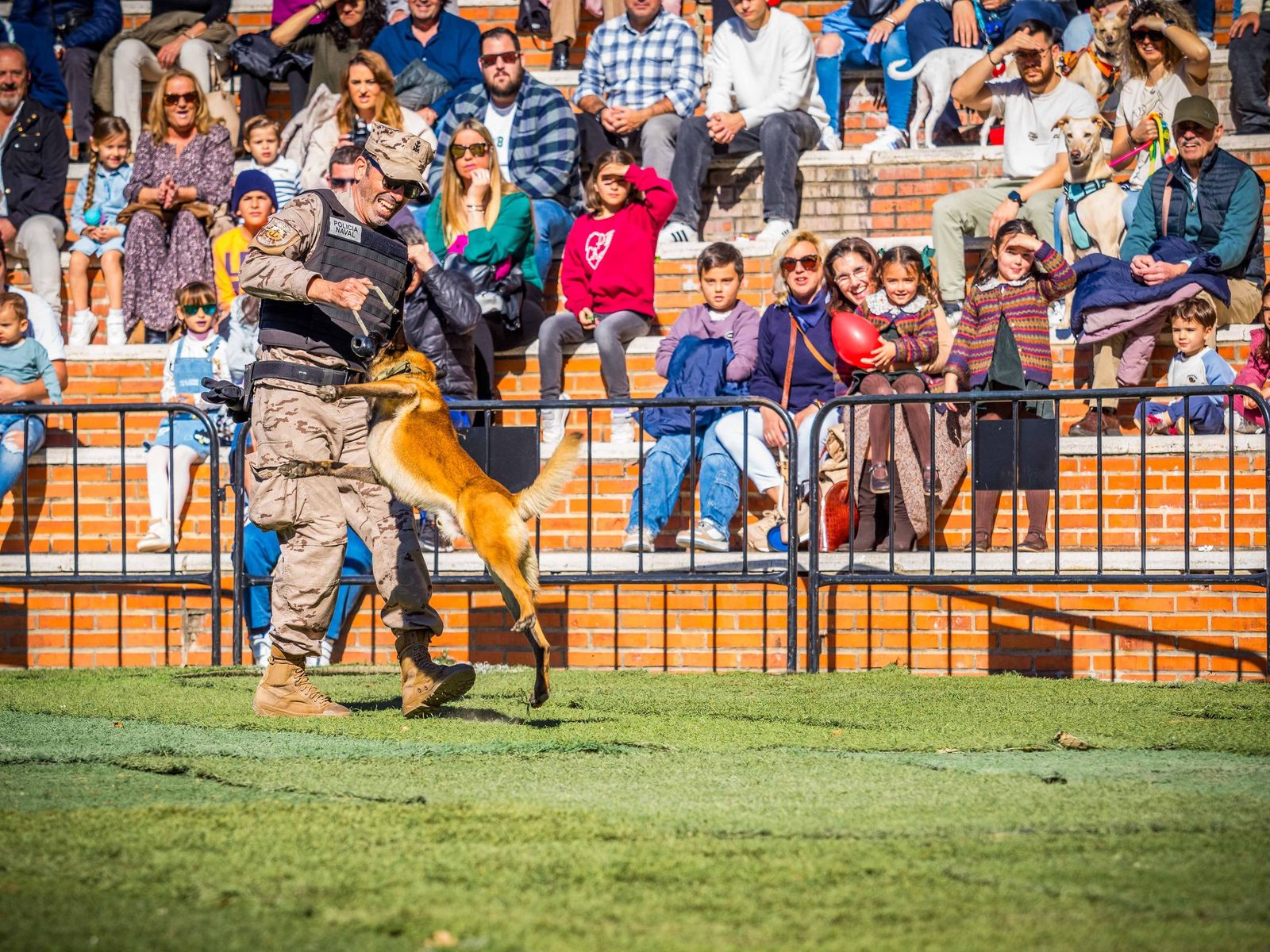 Las imágenes de San Antón 2025 en San Fernando