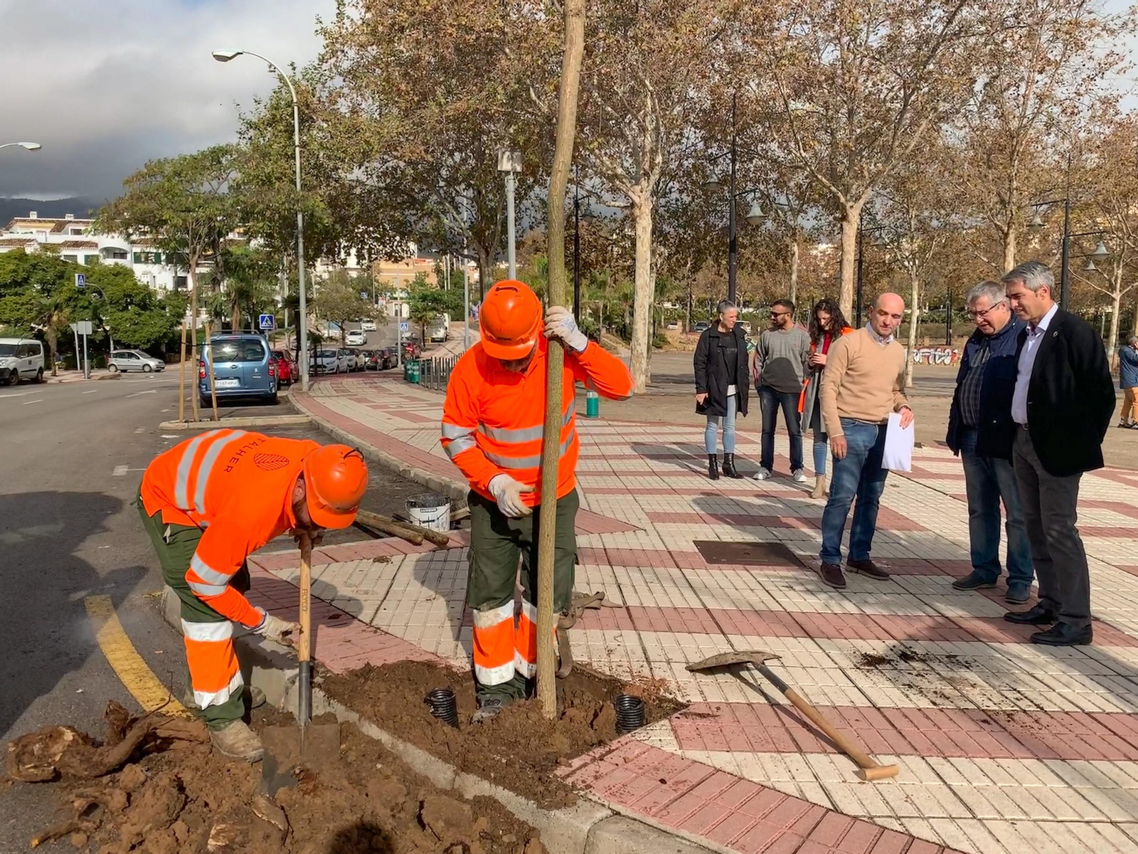 Los operarios municipales plantando un ejemplar arbustivo en Benalmádena.