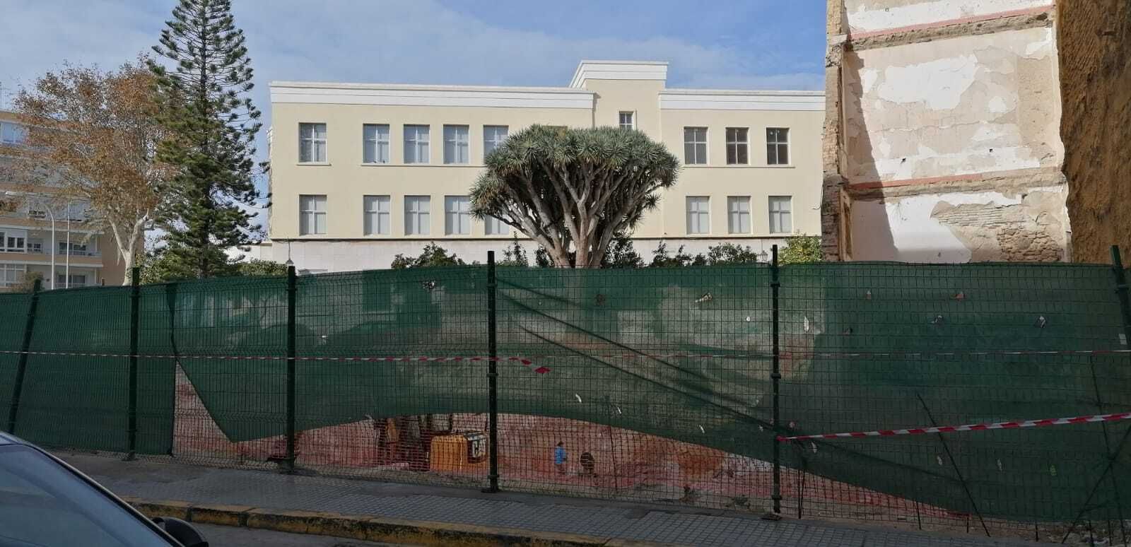 Obras en el antiguo solar de Salus Infirmorum, con la araucaria y el drago al fondo.