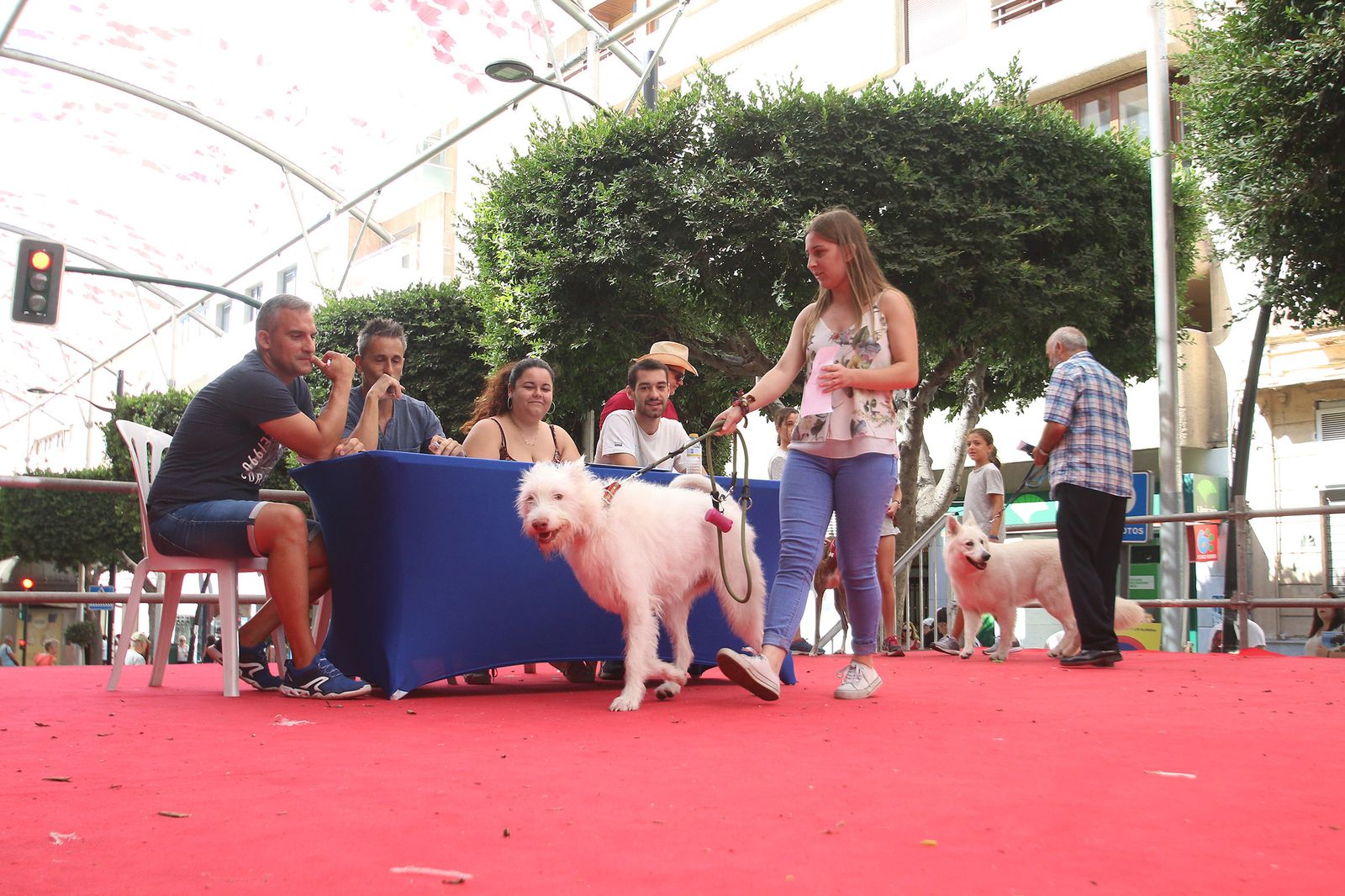 Fotogalería del concurso canino. Feria de Almería 2019