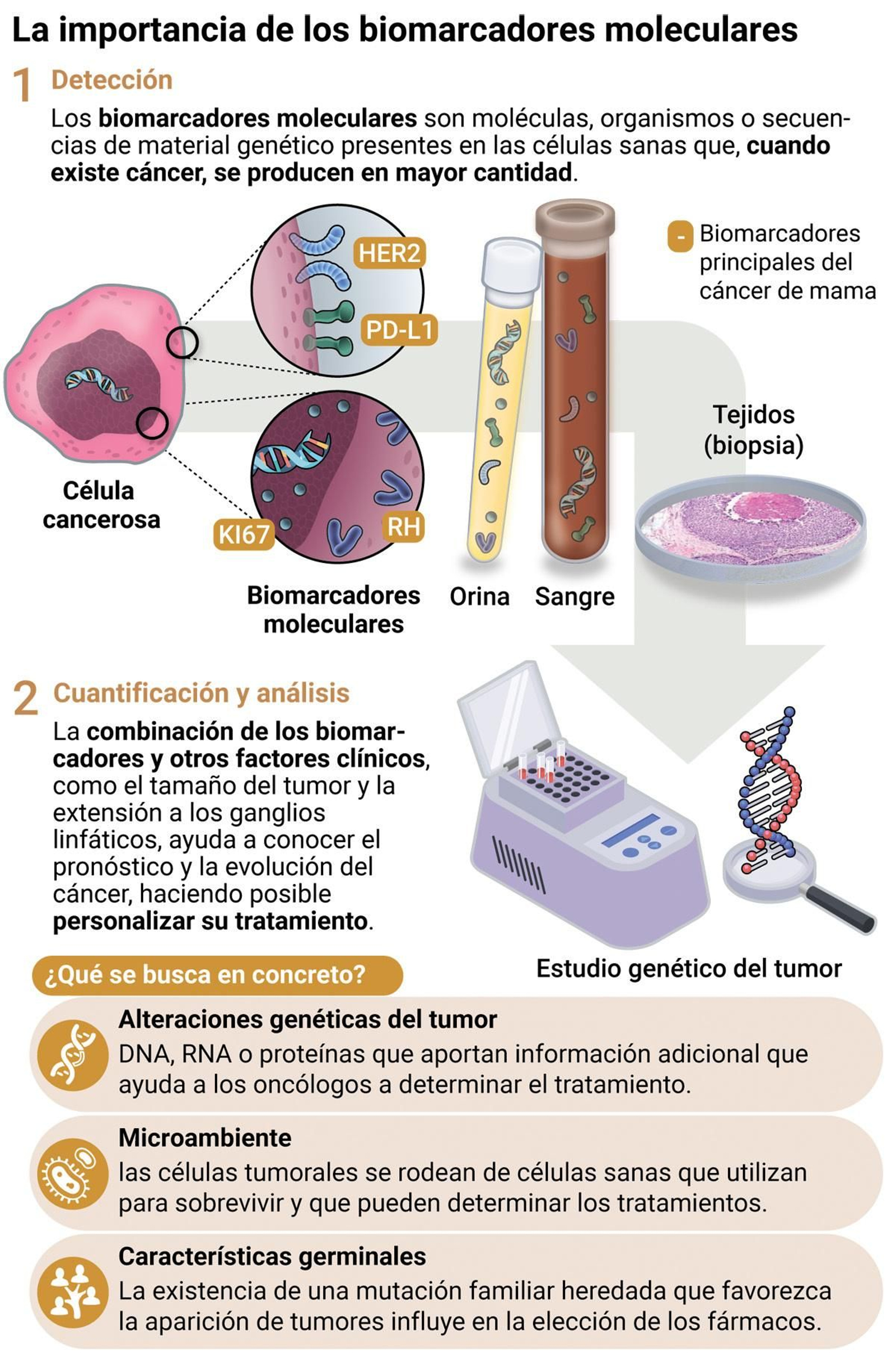 La importancia de los biomarcadores moleculares en la evolución de la enfermedad. Fuente: Solti. La importancia de los biomarcadores moleculares en la evolución de la enfermedad. Fuente: Solti.