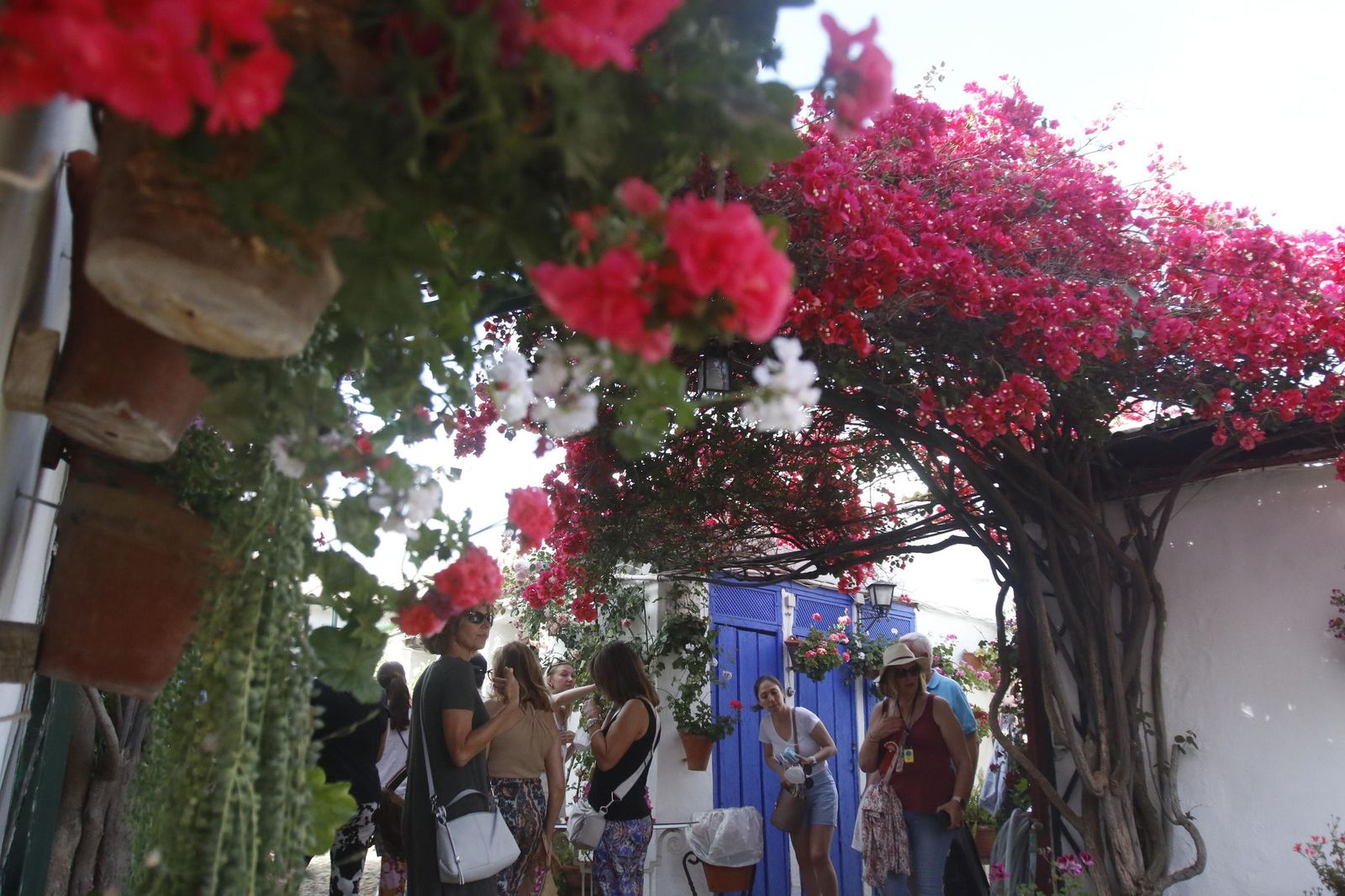 Patio de Marroquíes, 6, ganador de la mención de honor en 2025