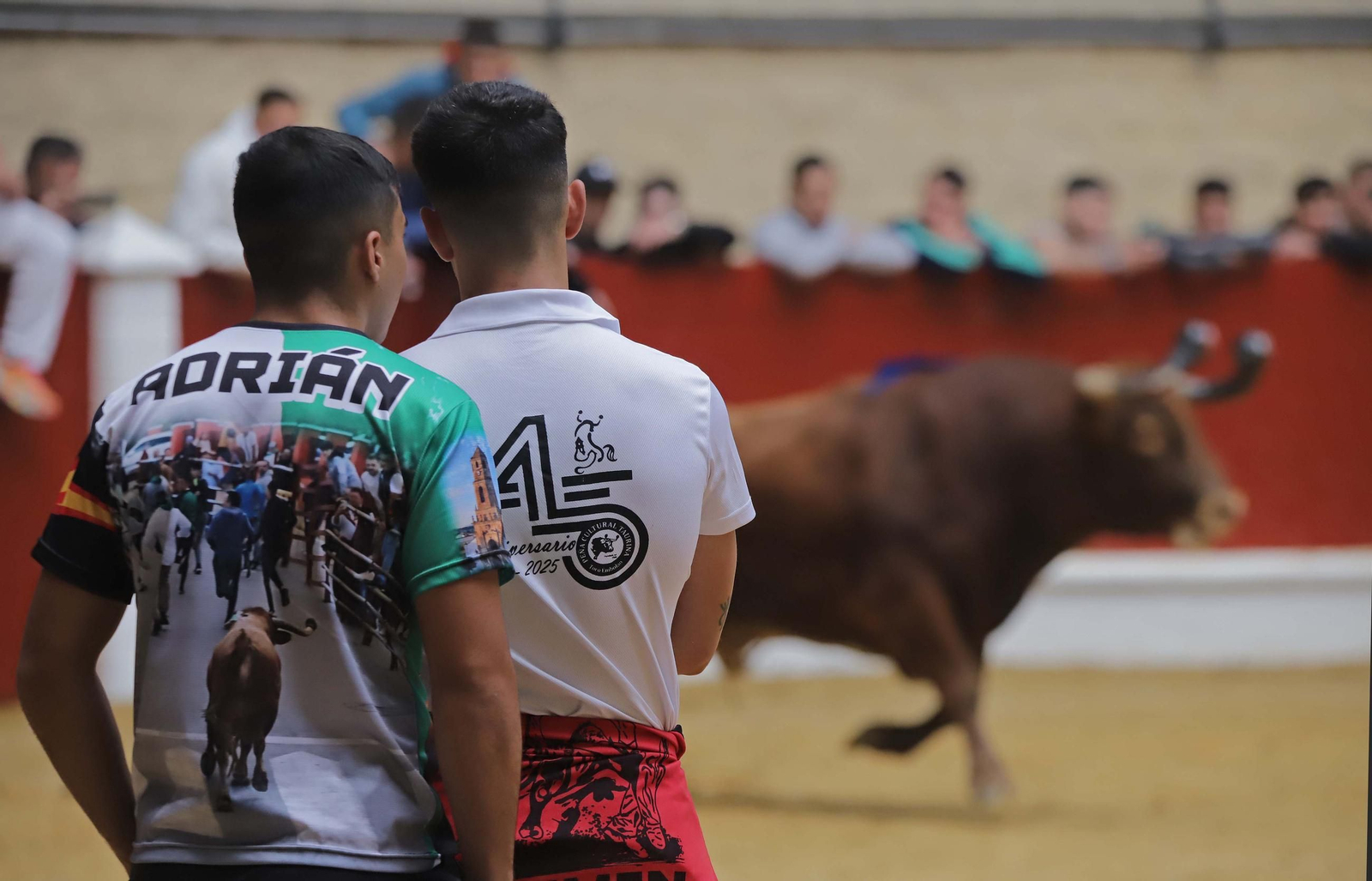 Fotos de los encierros del domingo del Toro Embolao en Los Barrios