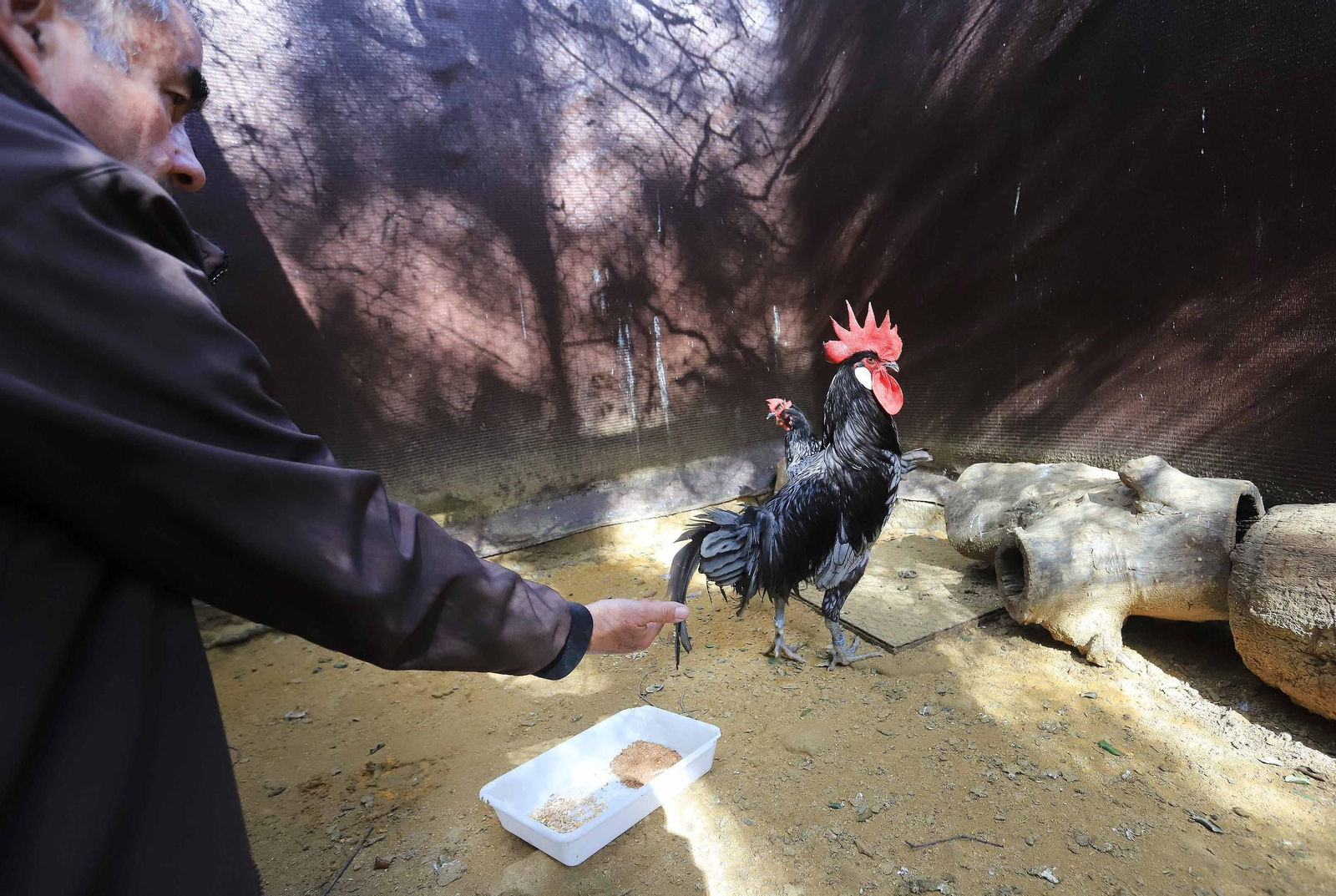 El Zoo de Jerez cumple 72 años El Zoo de Jerez cumple 72 años