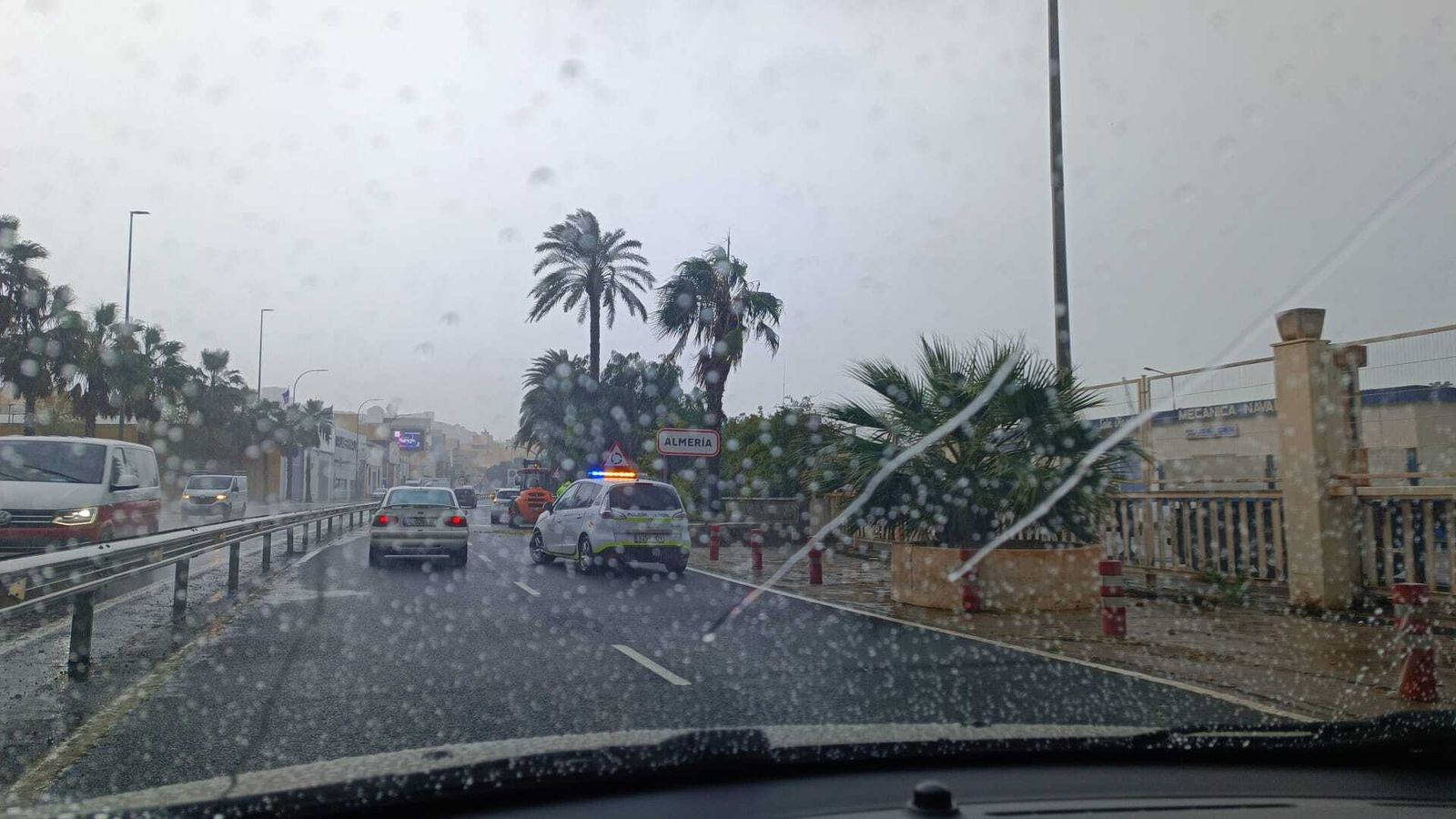 Agentes de Policía trabajan en la retirada de una palmera en Pescadería.