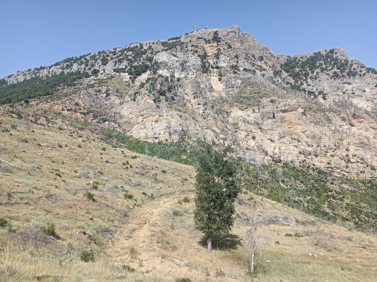 Así se regenera Segura de la Sierra tras el incendio forestal de 2017 Así se regenera Segura de la Sierra tras el incendio forestal de 2017
