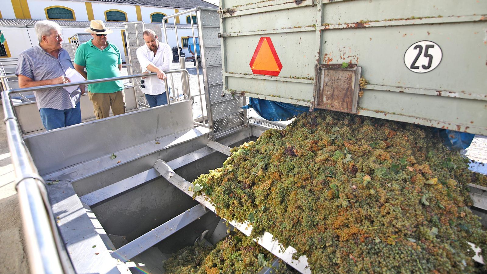 Salvador Espinosa, presidente de la cooperativa Las Angustias, junto a otros socios en el lagar.