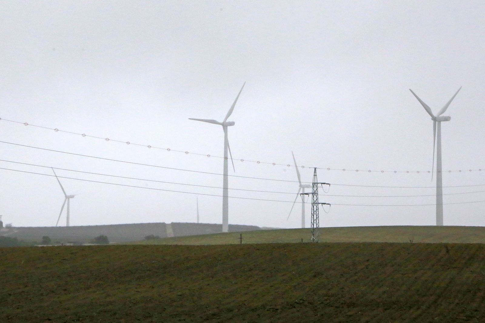 Molinos de viento instalados en la zona de viñedo del pago de Balbaína.