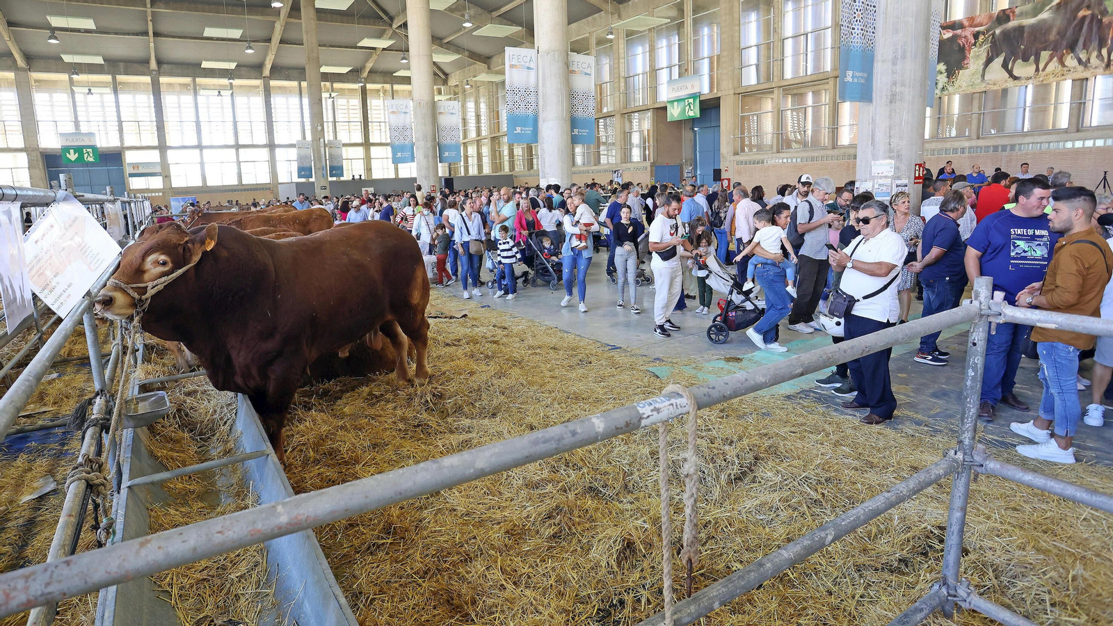 Ifeca acogió una edición más de Fegasur