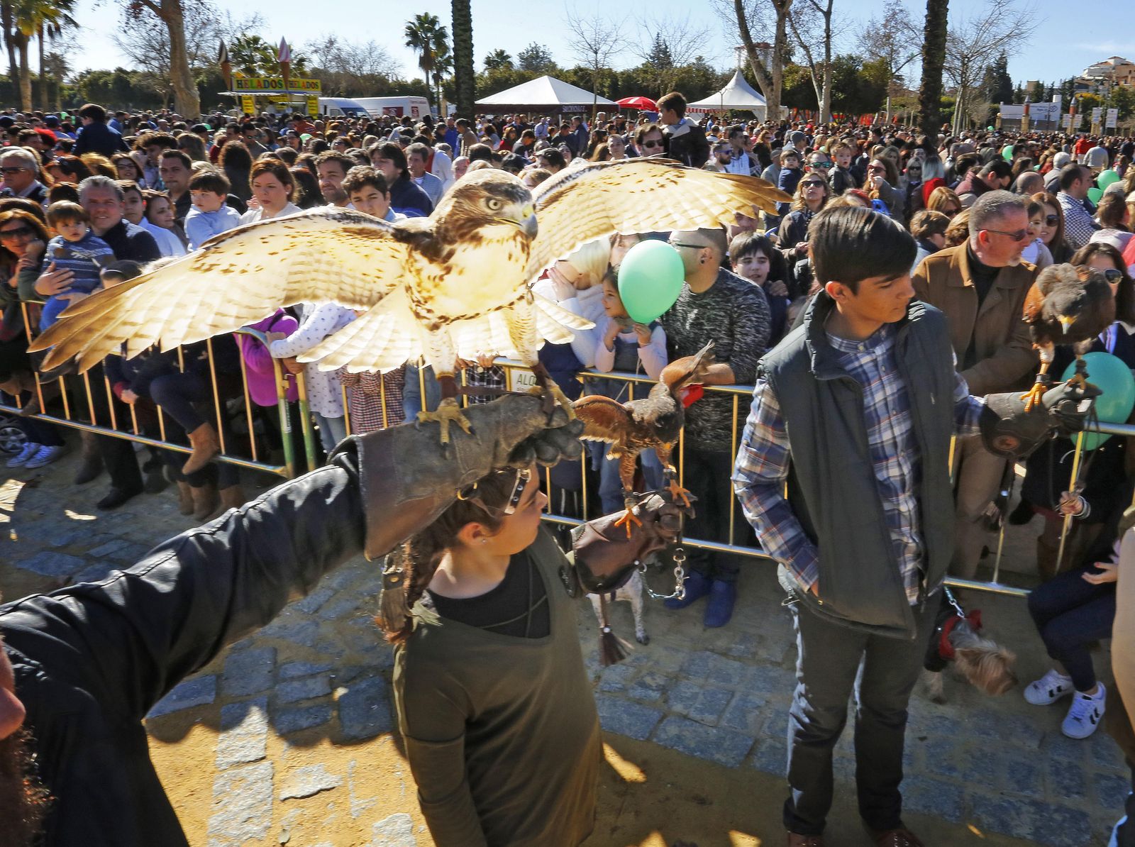 Las imágenes de la fiesta de San Antón