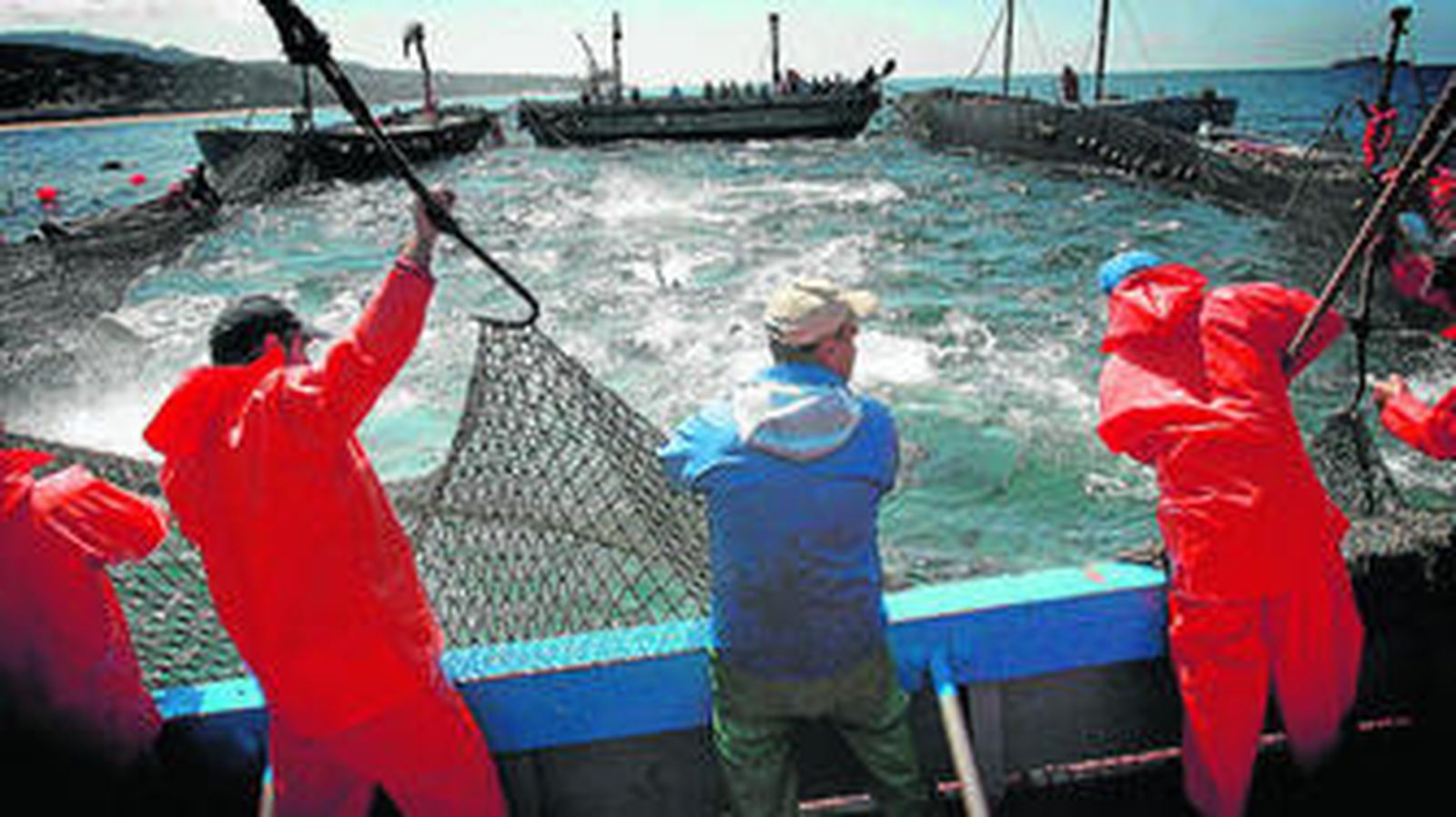 Lance en la almadraba, en una imagen de archivo.