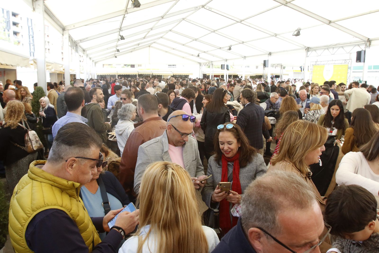 El sábado de la Cata del Vino Montilla-Moriles de Córdoba, en imágenes
