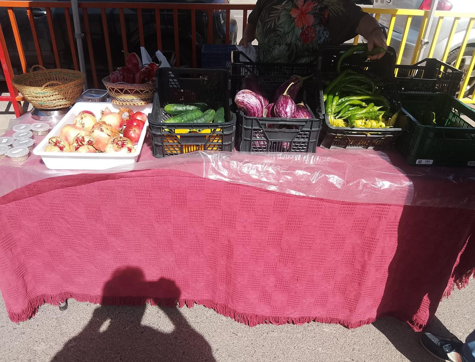 Así se ha vivido la II Feria Equina de Abla