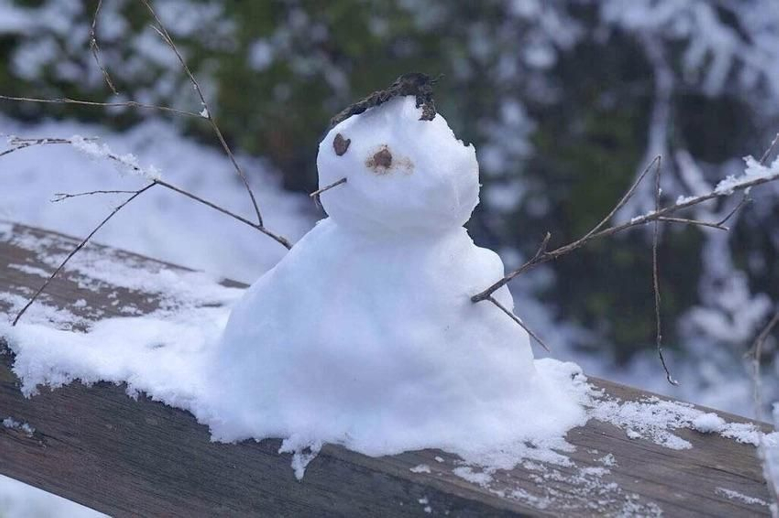 Así de nevada despertaba la Sierra de Aracena con el paso de la borrasca 'Filomena'