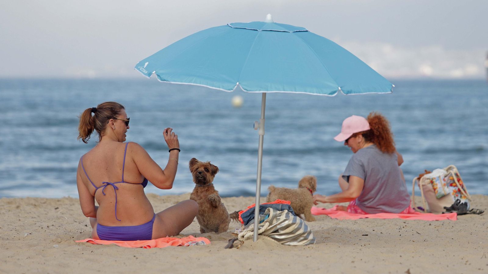 Zona de merendero y playa  canina en La Concha.