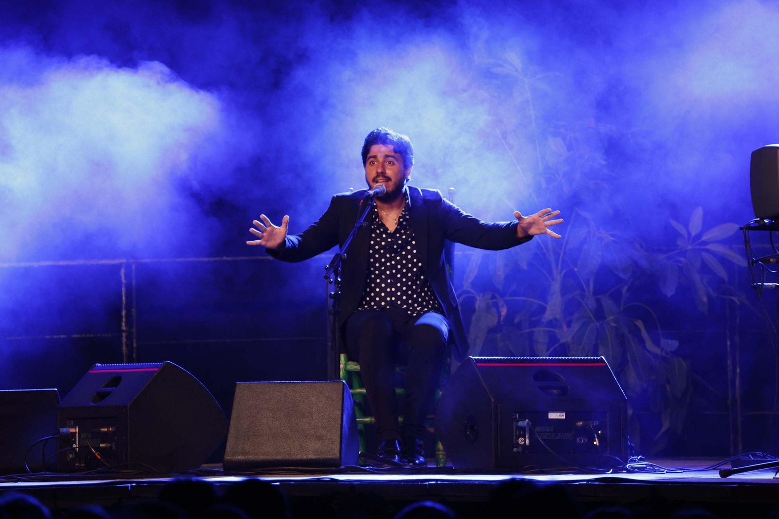 Fotos de la noche flamenca con José Mercé en La Línea