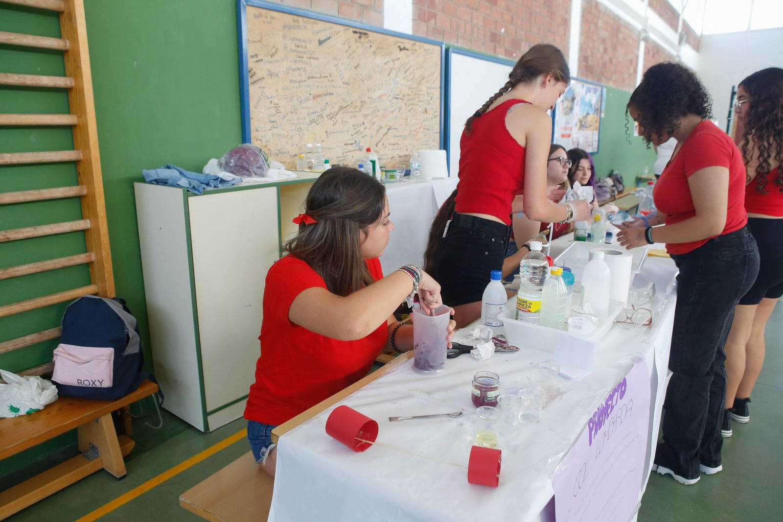 Fotos de la Feria de las Ciencias del IES Mar del Sur de Taraguilla