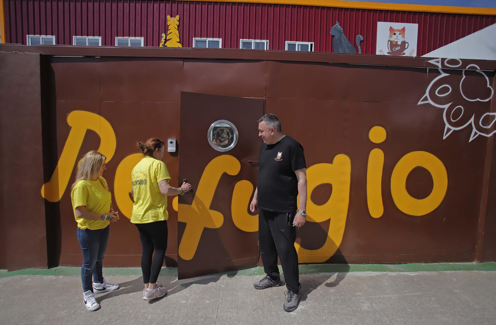Fotos de Kitty Cat, la cafetería - refugio de gatos en La Línea
