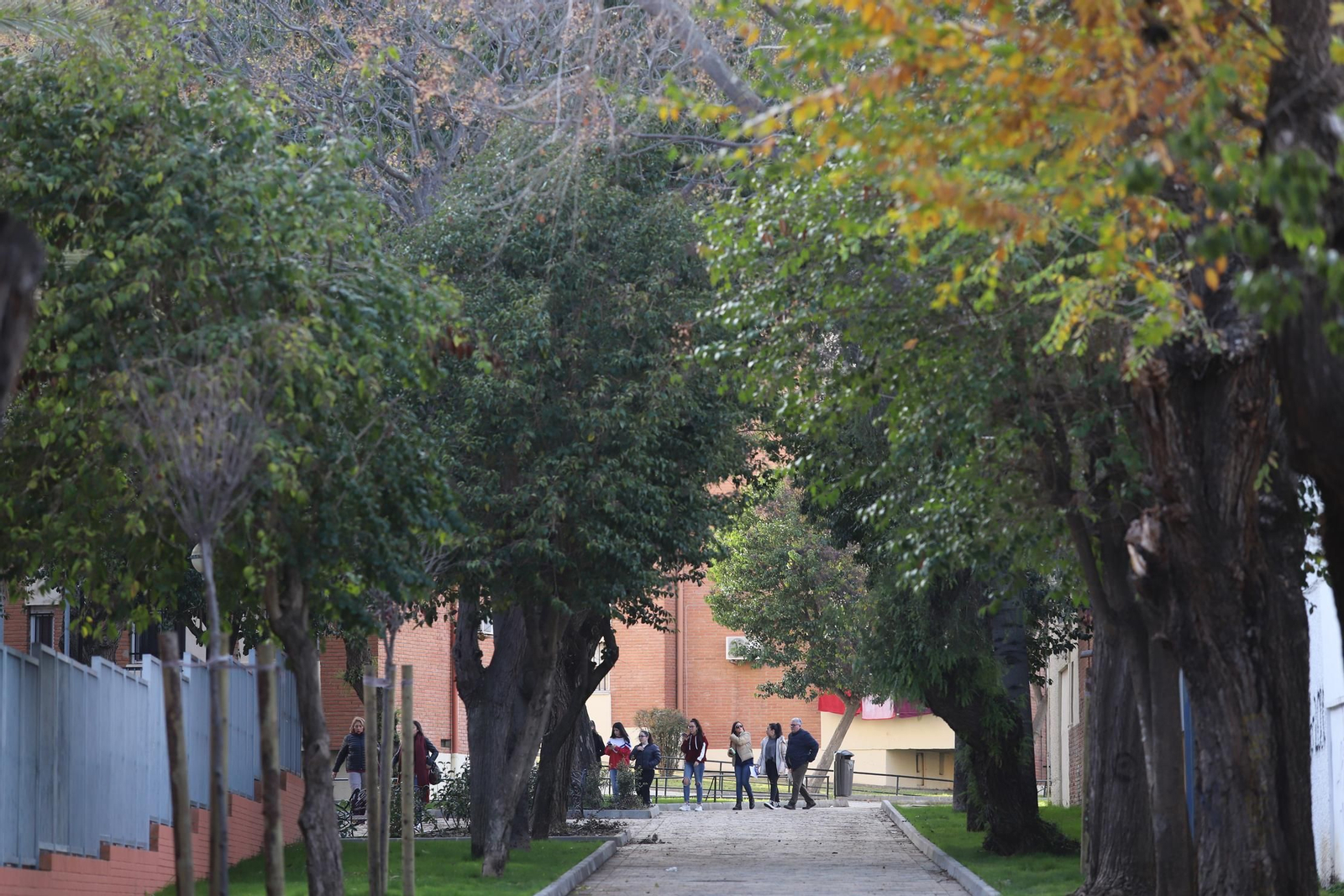 Imágenes de remodelación del área peatonal de Santa Marta