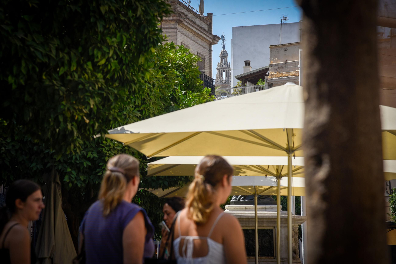 La Giralda, vista desde la plaza del Salvador, entre Francos y Álvarez Quintero.
