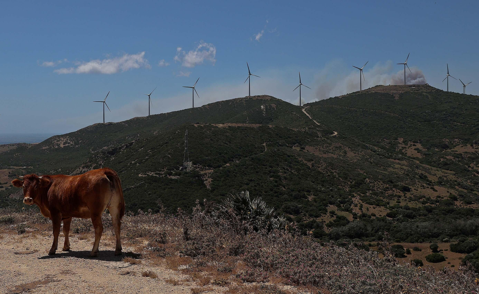 Imágenes del incendio de monte La Peña en Tarifa Imágenes del incendio de monte La Peña en Tarifa