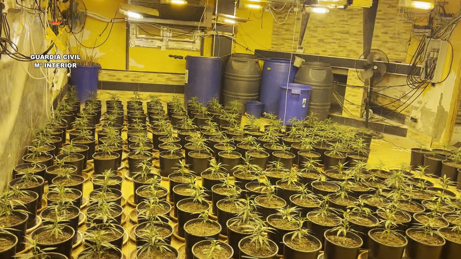 Cocaína, marihuana, armas y objetos de lujo: las incautaciones de la operación 'Lukenan'