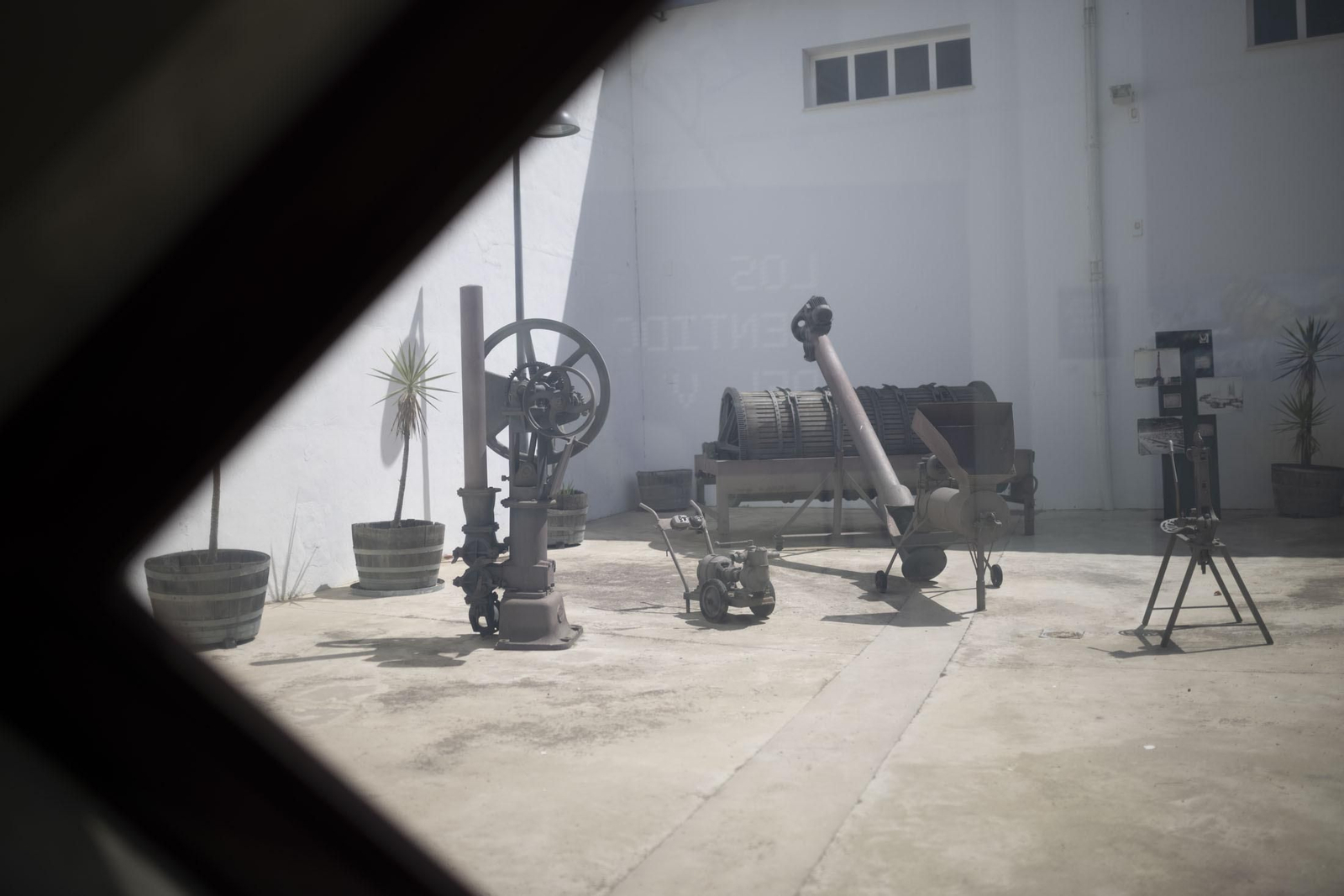 Imágenes de la vendimia en el Condado de Huelva