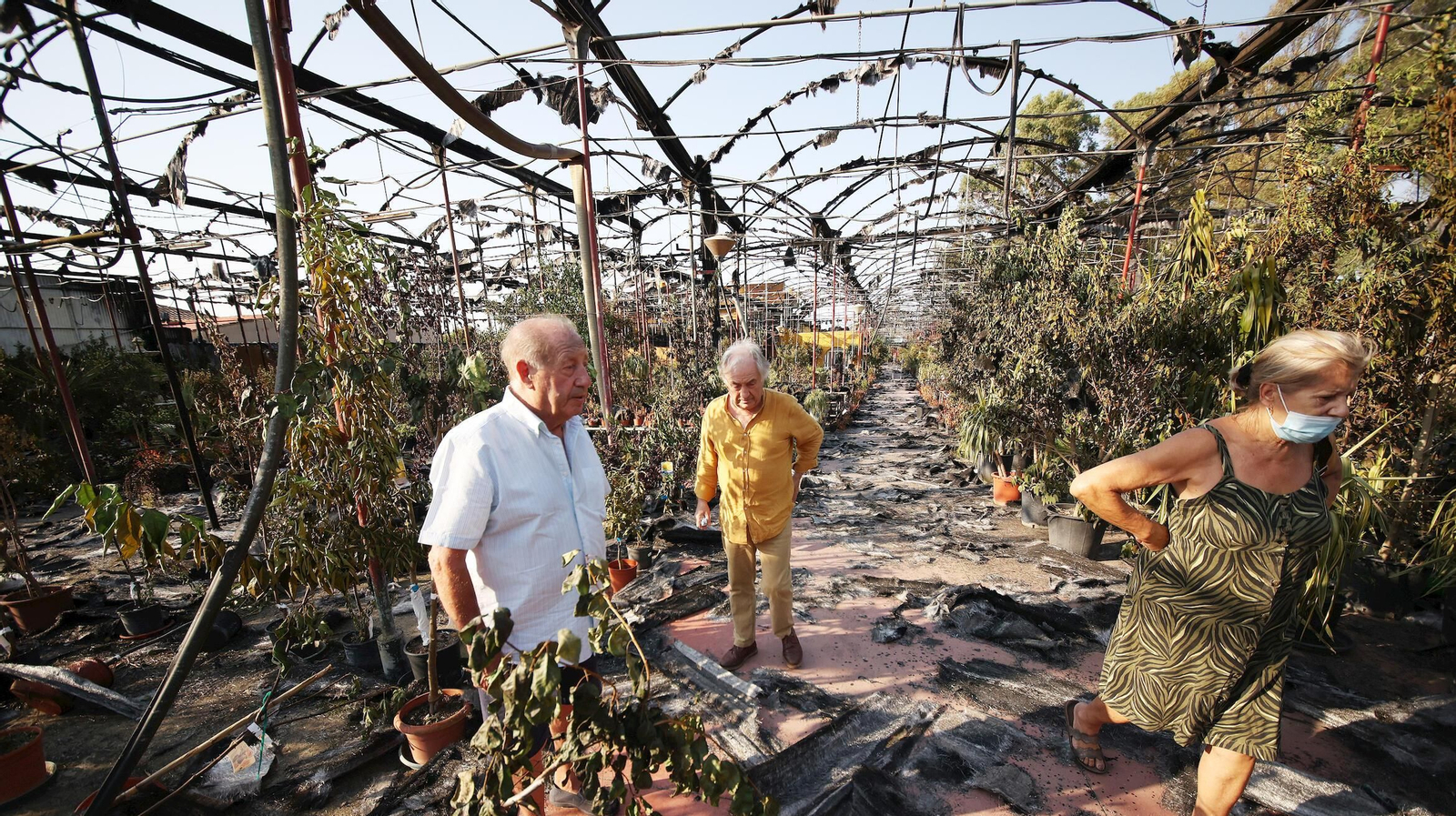 Imágenes de Viveros Olmedo en Jerez tras el incendio del pasado 13 de julio