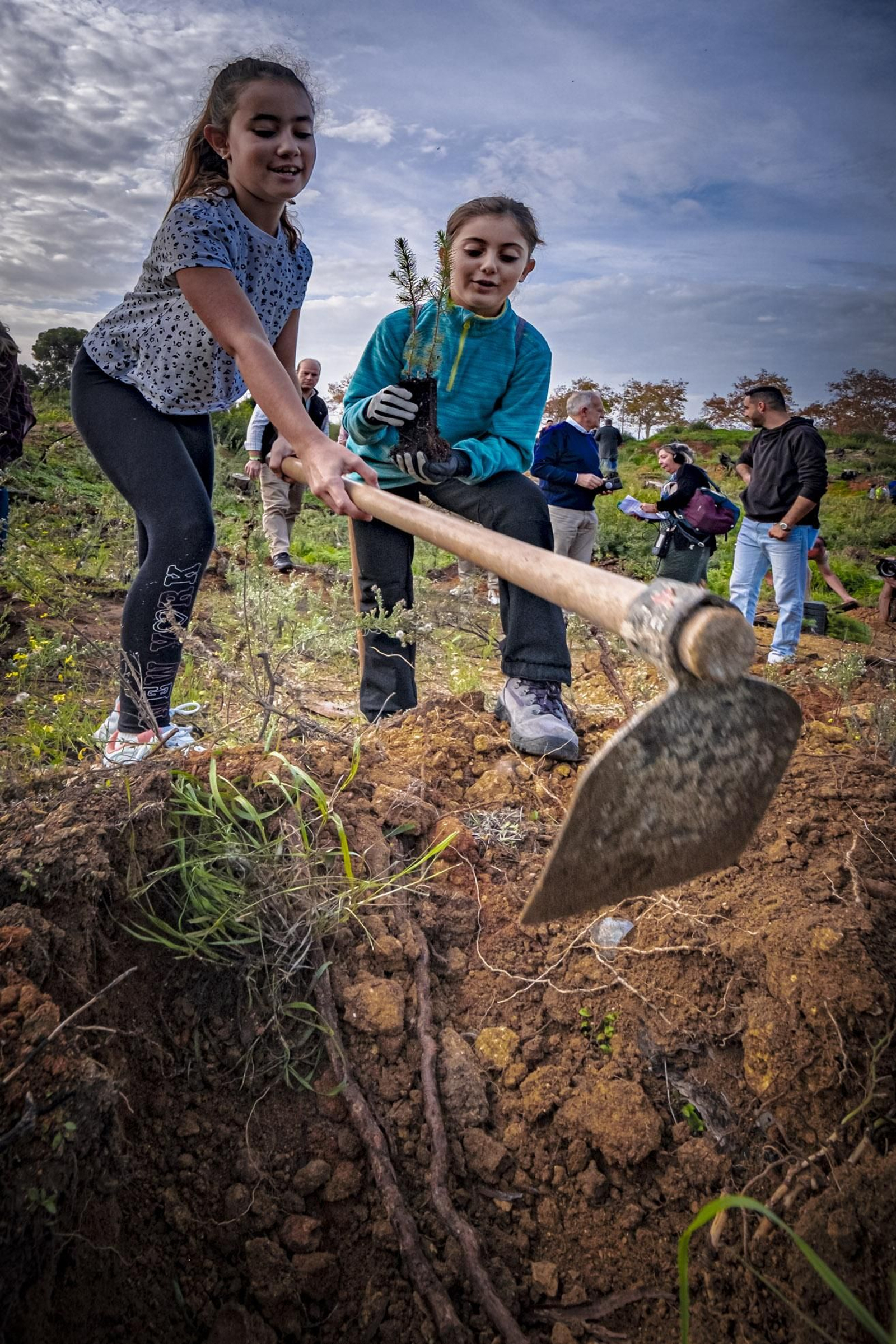 Las imágenes de escolares reforestando el pinar de Las Canteras de Puerto Real.