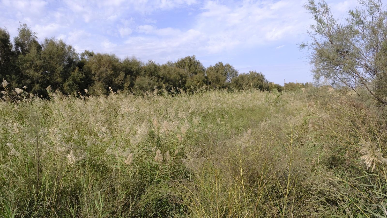 Los vecinos de Costacabana se manifiestan por el arreglo de su rambla, en imágenes