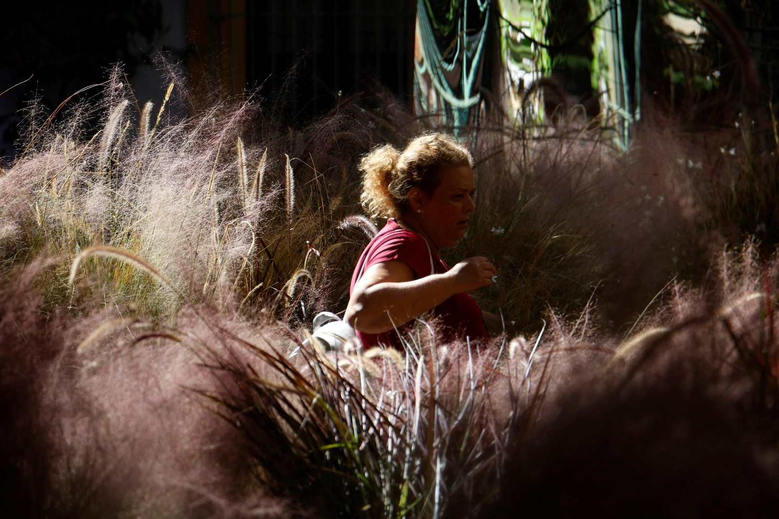 Las creaciones de los artistas de Flora, en imágenes