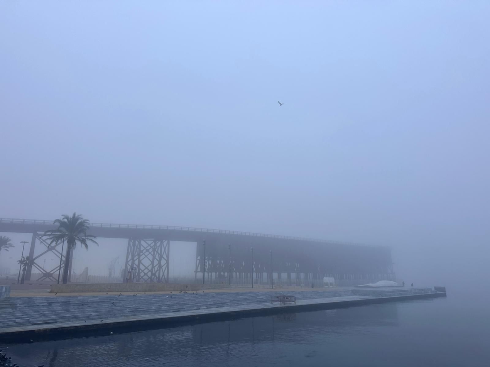 La niebla se ha hecho fuerte en la línea de costa.