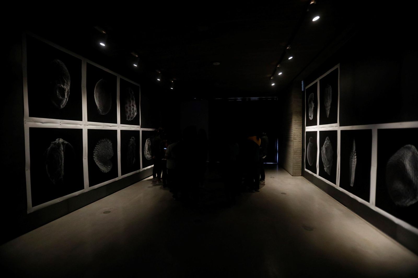 Los artistas residentes del C3A muestran sus obras