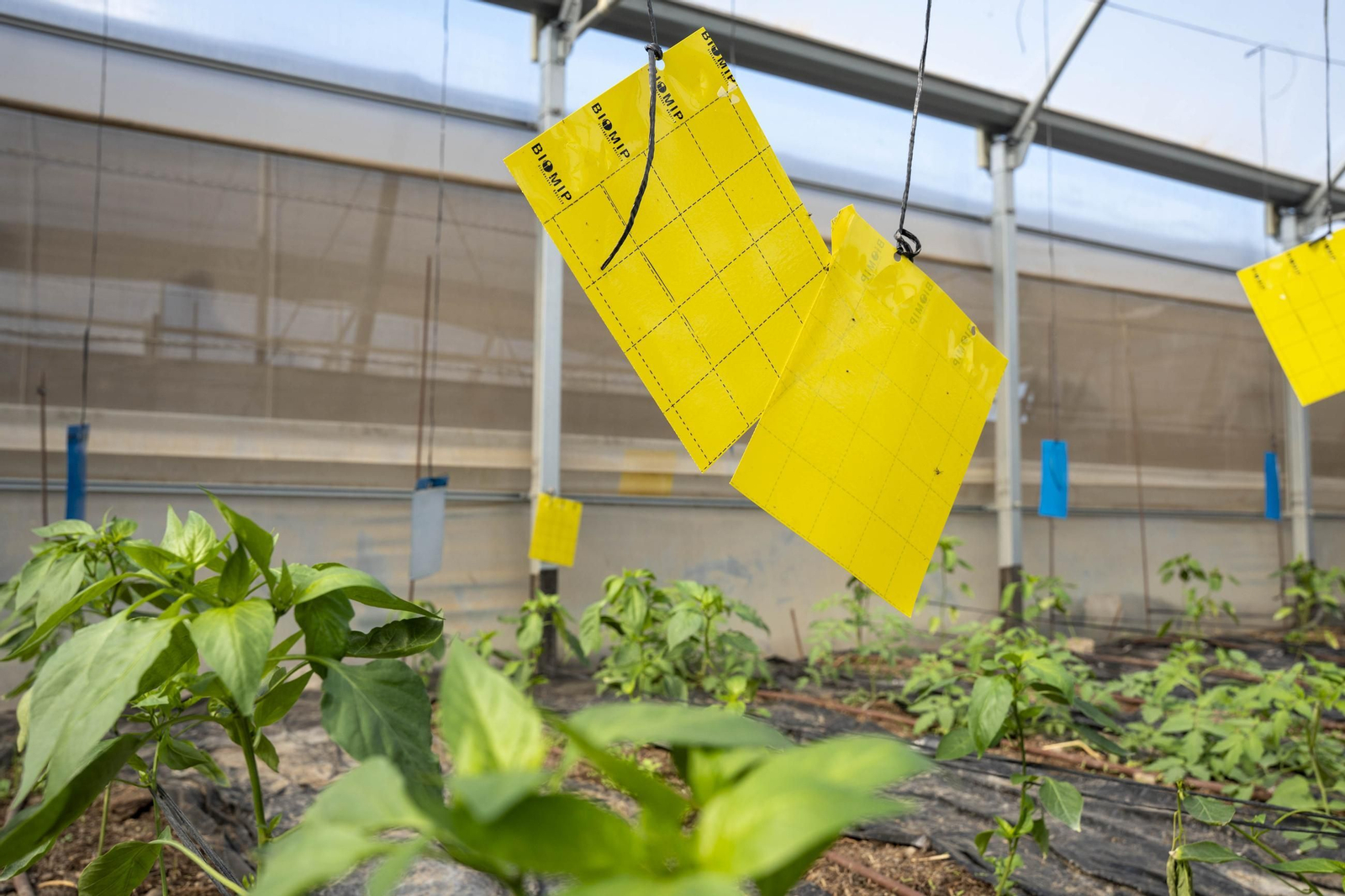 Visitamos el IES Sol de Portocarrero de La Cañada de San Urbano para ver las nuevas infraestructuras para FP en los centros educativos de la provincia de Almería, en imágenes