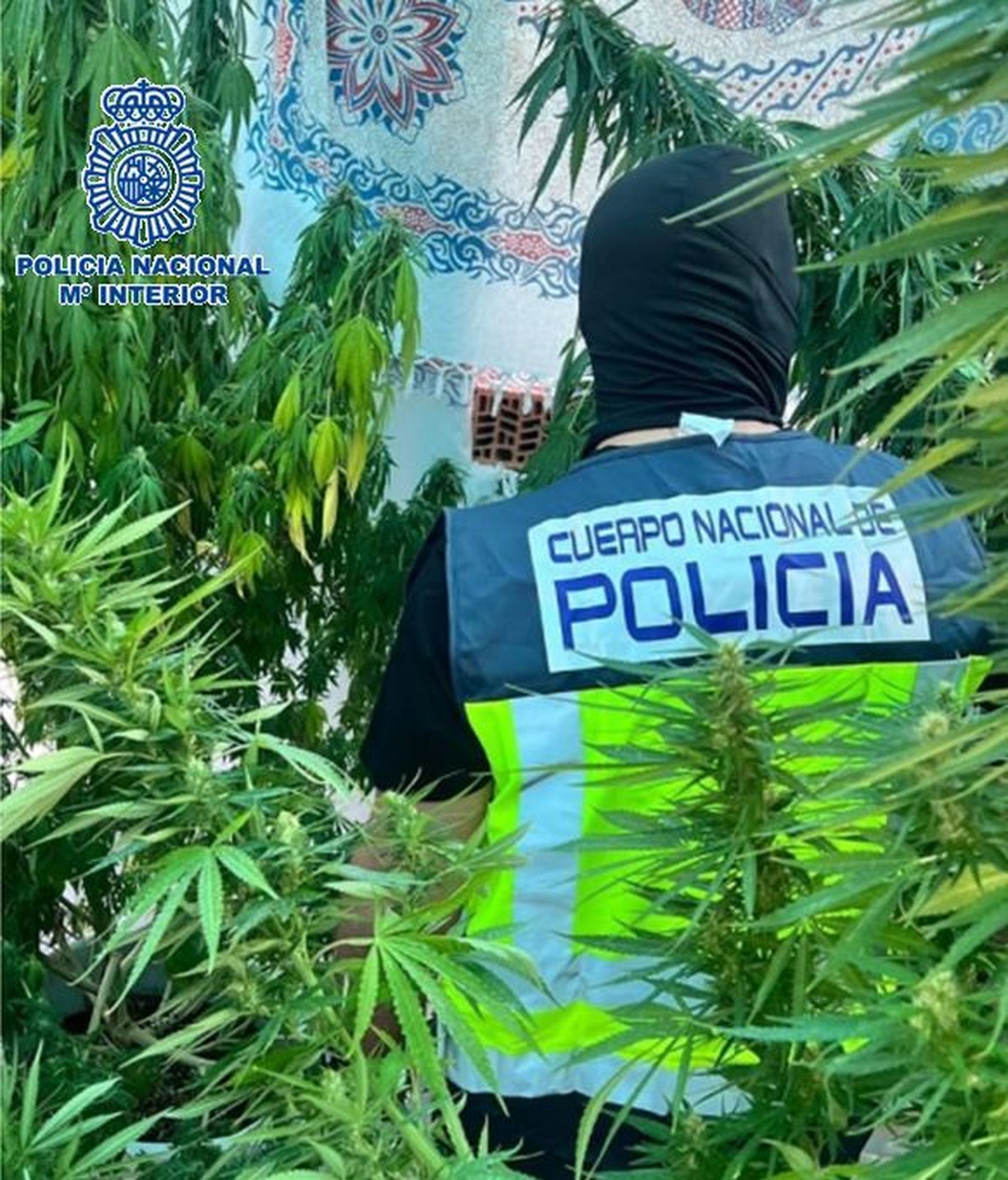 Otro momento de la intervención policial.