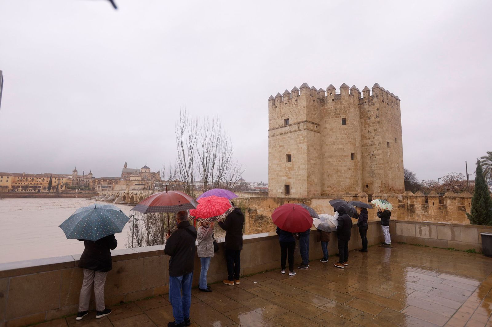 Así se muestra el río Guadalquivir a su paso por Córdoba a la espera de otra crecida