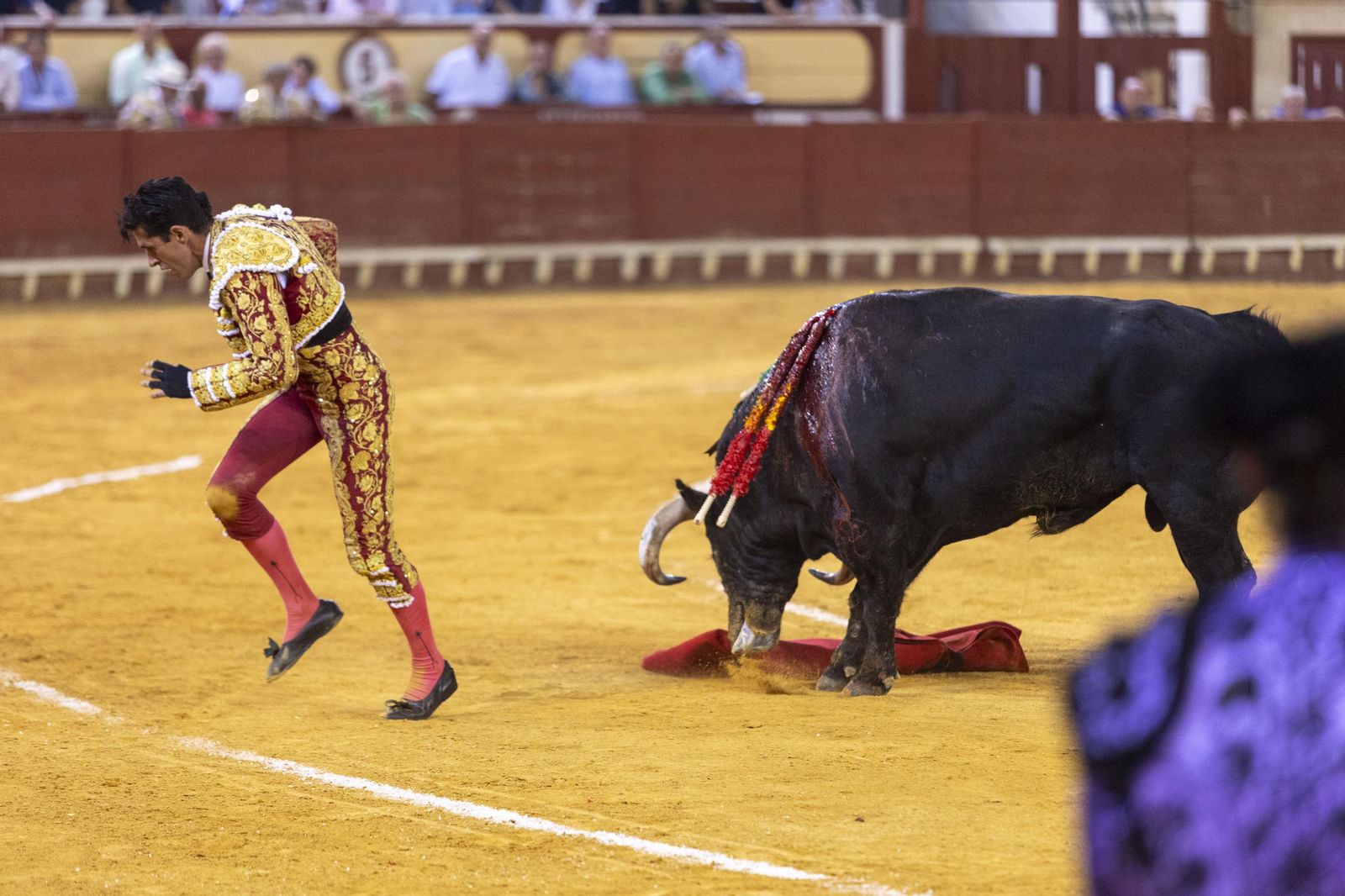 Las imágenes de la corrida de toros en El Puerto: puerta grande para Talavante