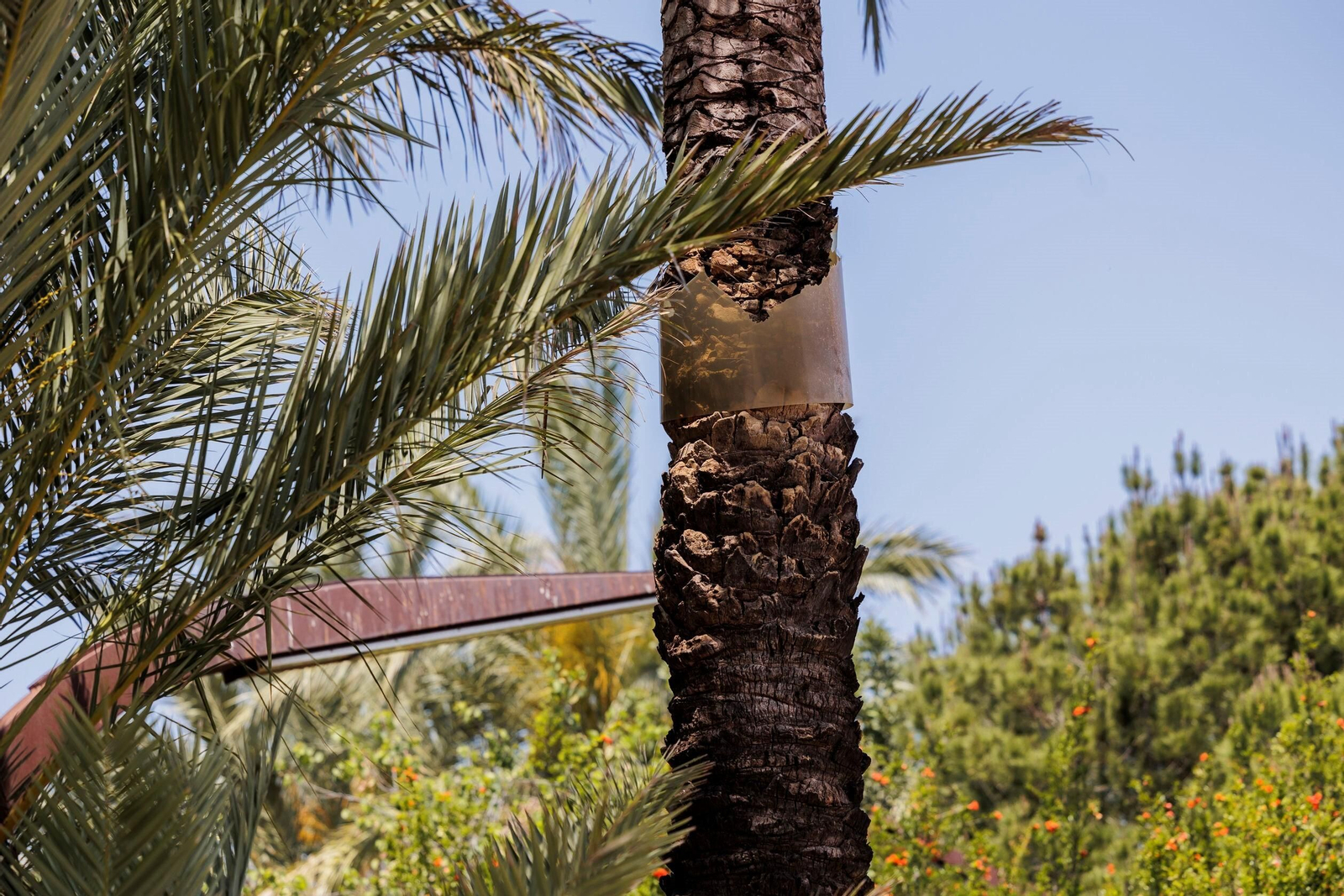 Las zonas verdes menos verdes de la ciudad de Cádiz