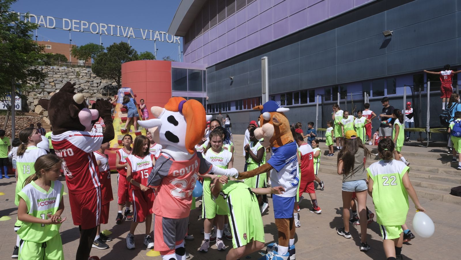 Imágenes de la Copa COVAP, en Viator.
