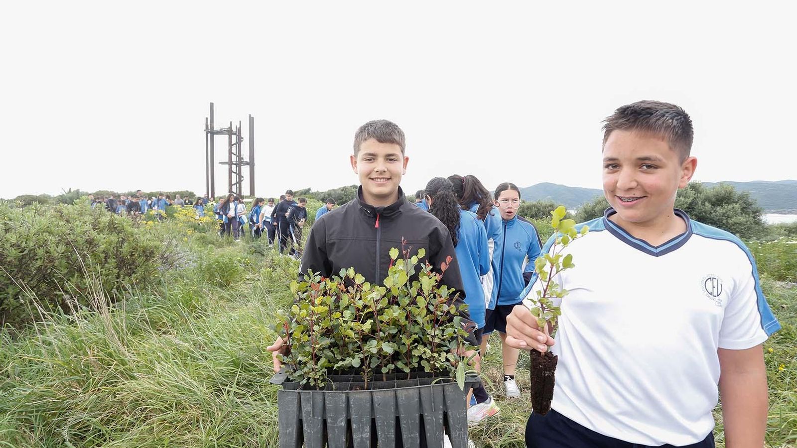 Fotografías de la plantación del programa 'Reverdece' de Acerinox Fotografías de la plantación del programa 'Reverdece' de Acerinox