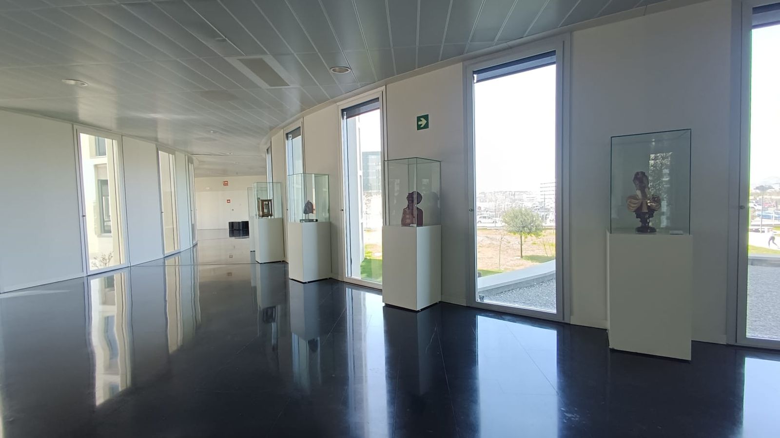 Traslado de diversas piezas patrimoniales procedentes del Departamento de Anatomía y Embriología Humana a diferentes espacios de la Facultad.