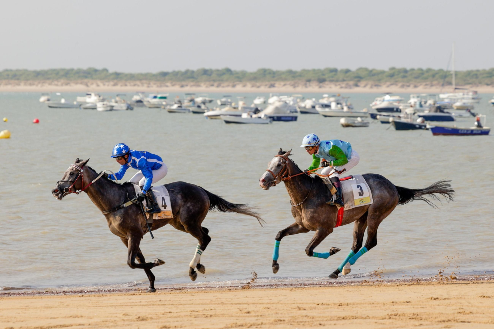 Imagen de la segunda jornada del ciclo final de las Carreras de Caballos de Sanlúcar 2025