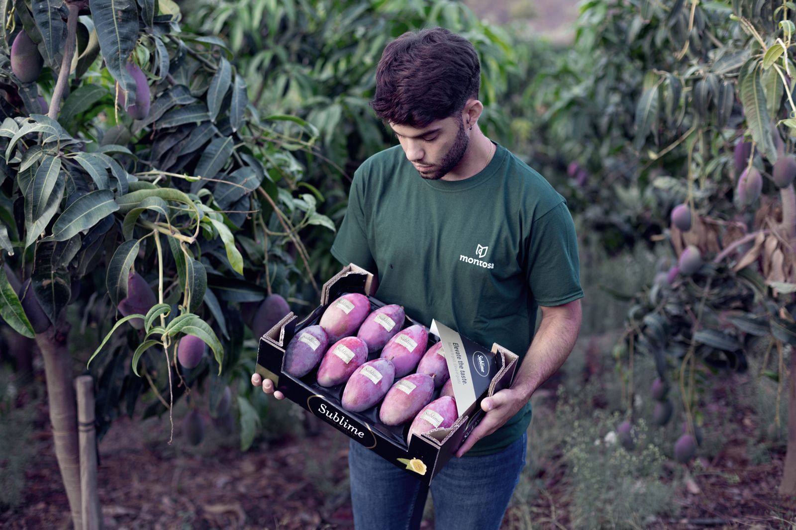 Frutas Montosa se ha consolidado en el mercado