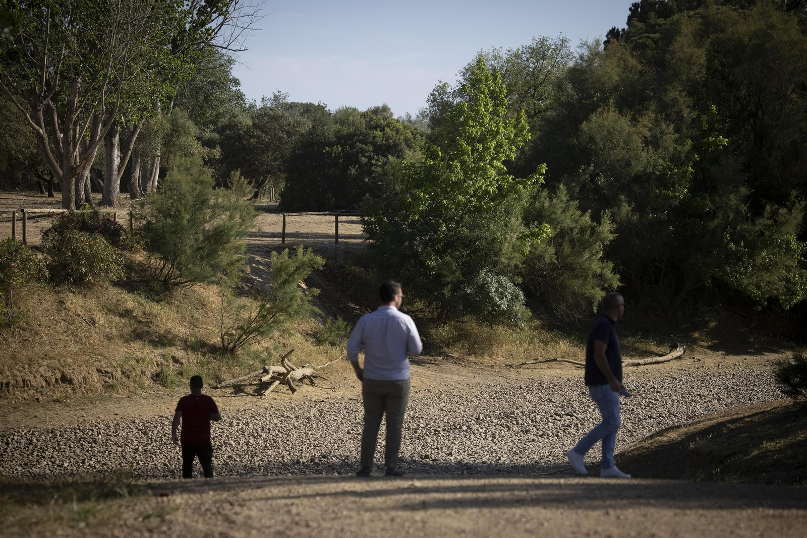 El cauce del Guadiamar está sin una gota de agua a su paso por la finca de Quema.
